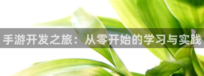 28大神苹果版下载：手游开发之旅：从零开始的学习与实践