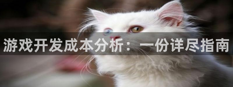 28大神预测破解版：游戏开发成本分析：一份详尽指南