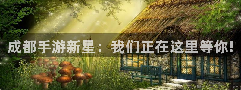 28大神app怎么下载：成都手游新星：我们正在这里等你!