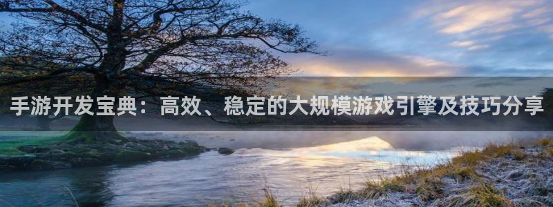 大神吧论坛28算法注册：手游开发宝典：高效、稳定的大规模游戏