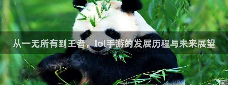 银河(galaxy)官网开奖预测软件：从一无所有到王者，lo