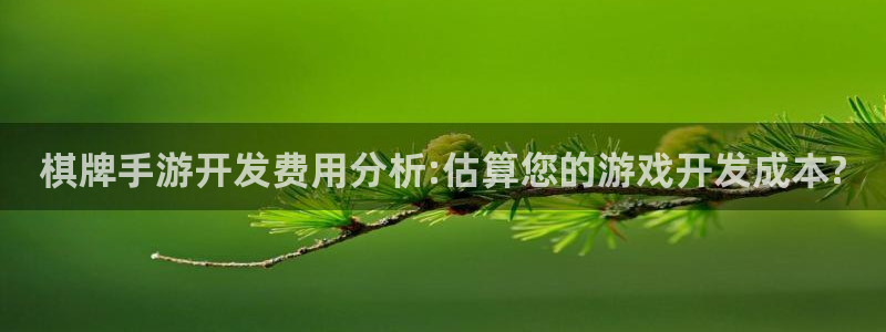 银河(galaxy)官网PC官网：棋牌手游开发费用分析:估算